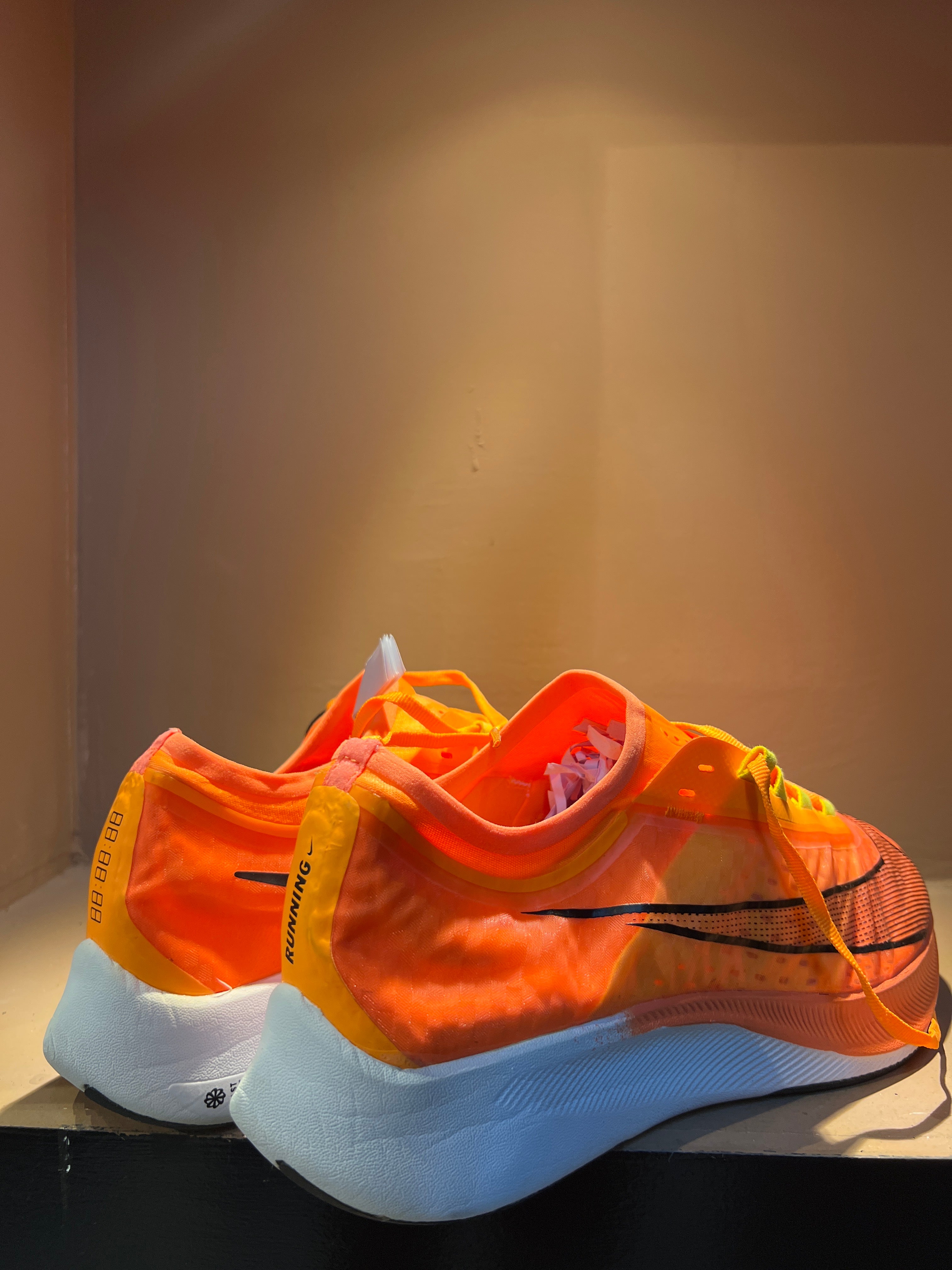 Nike Zoom Fly 3