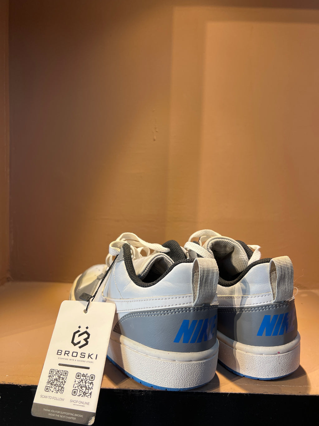 Nike Court Borough Low 2
