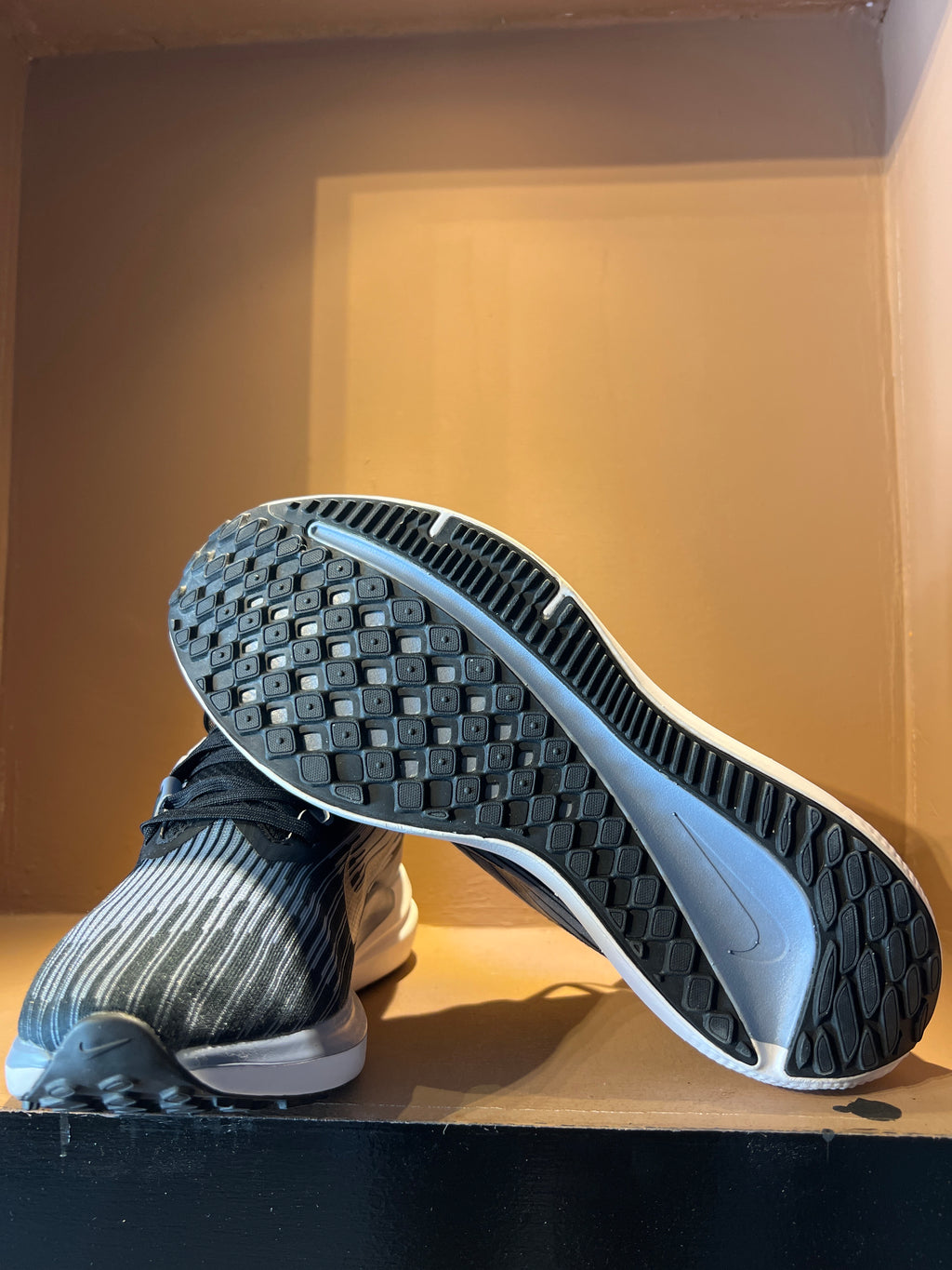 Nike Air Winflo 9