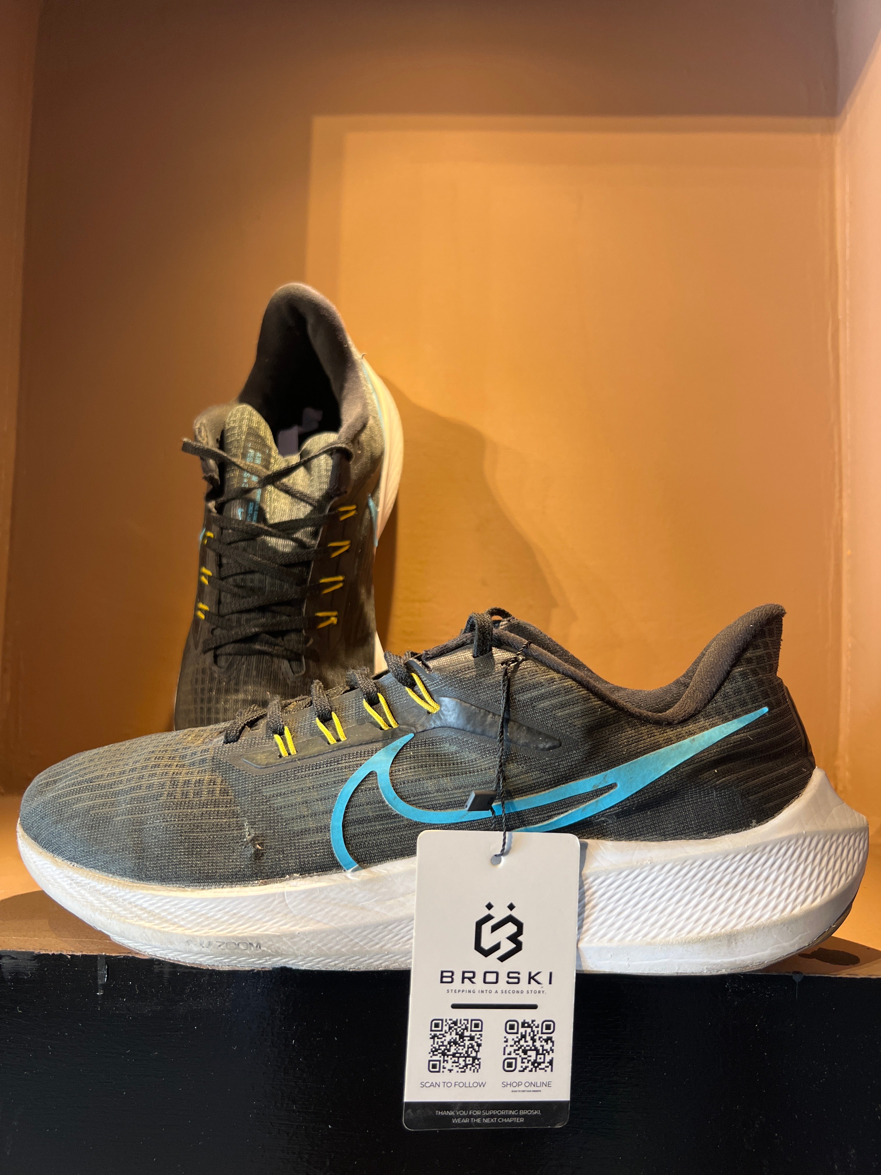 Nike Air Zoom Pegasus 39