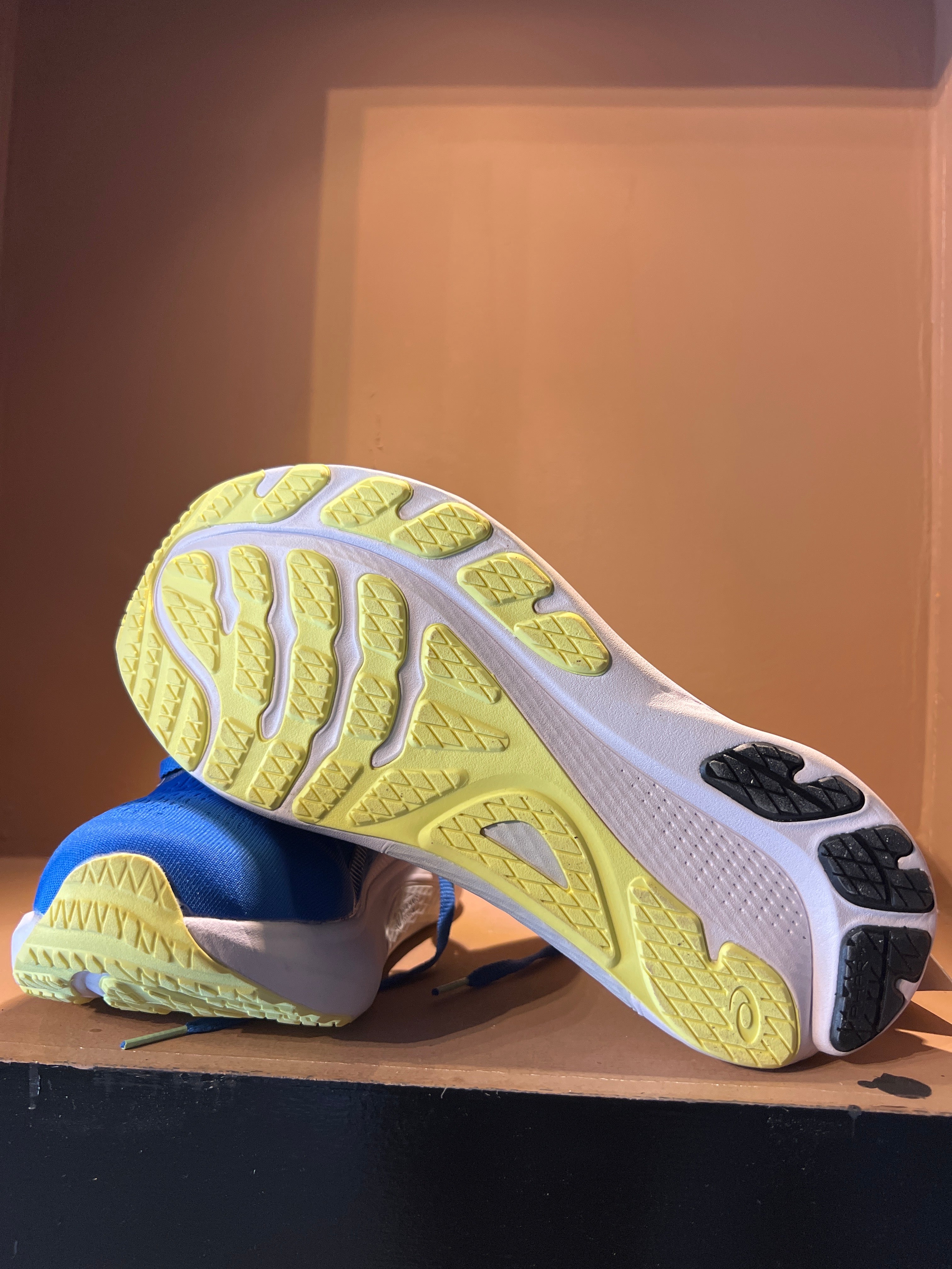 Asics GEL-KAYANO 30