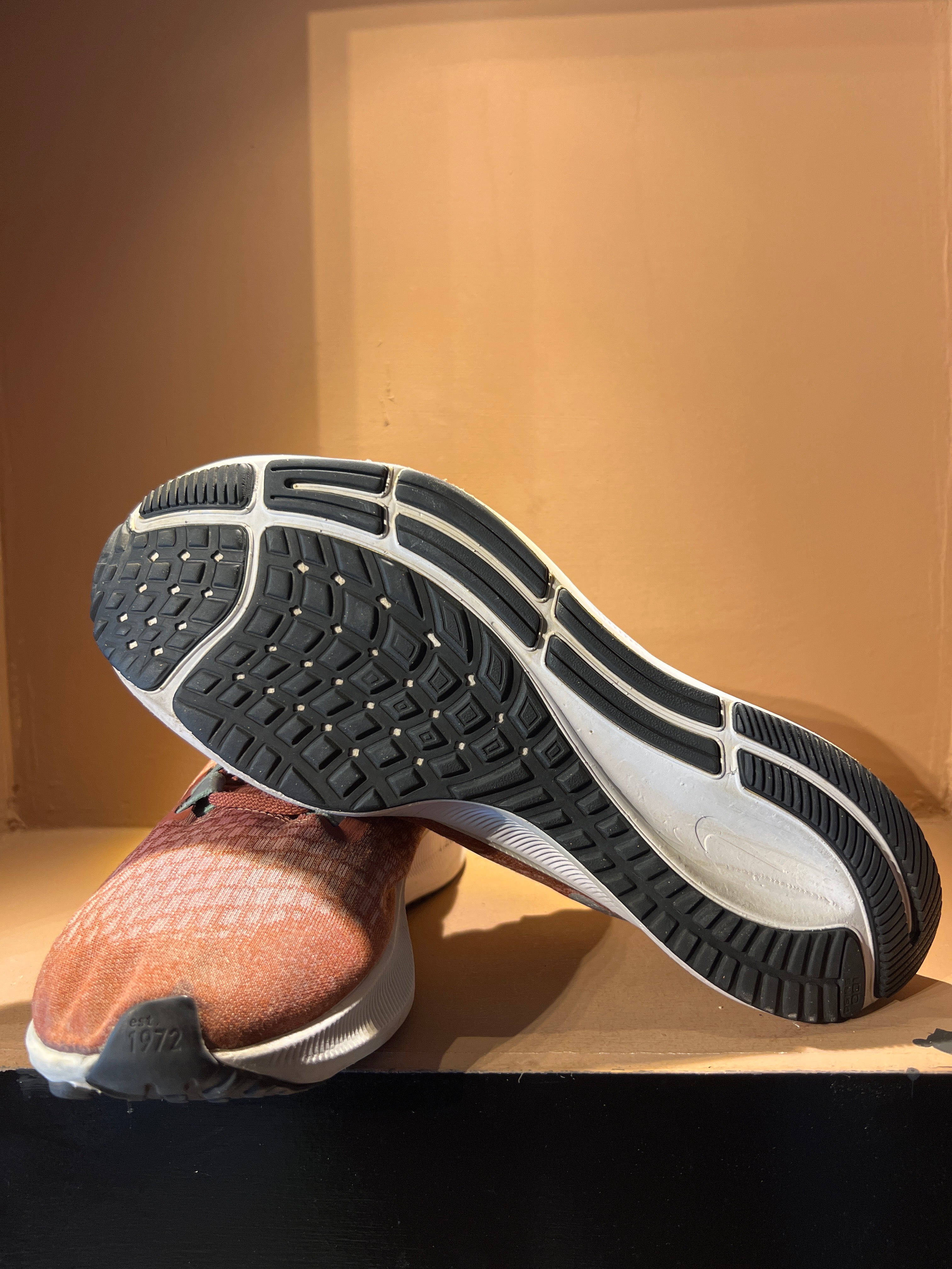 Nike Air Zoom Pegasus 37