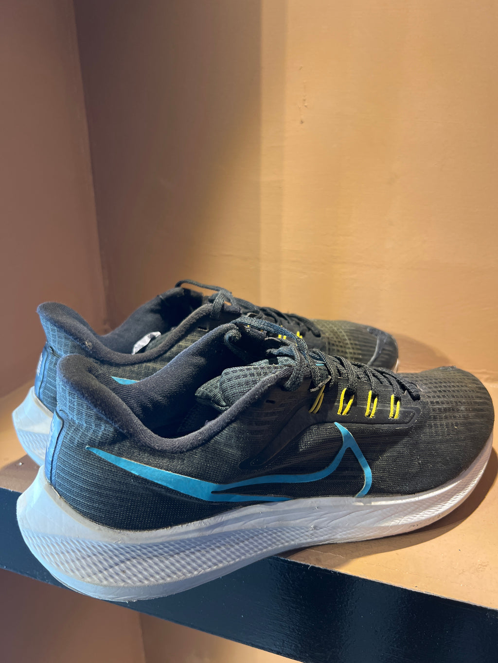 Nike Air Zoom Pegasus 39