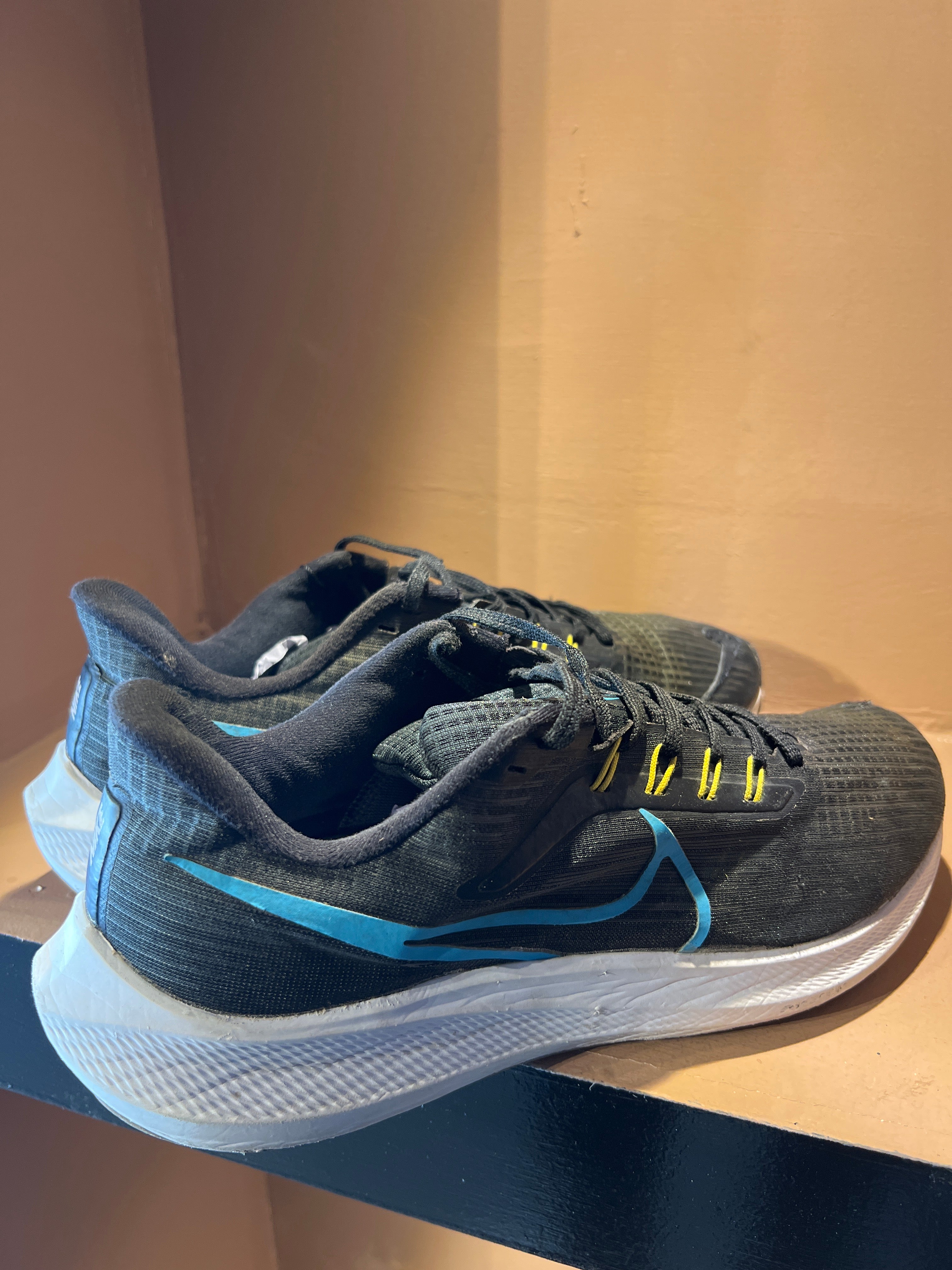 Nike Air Zoom Pegasus 39