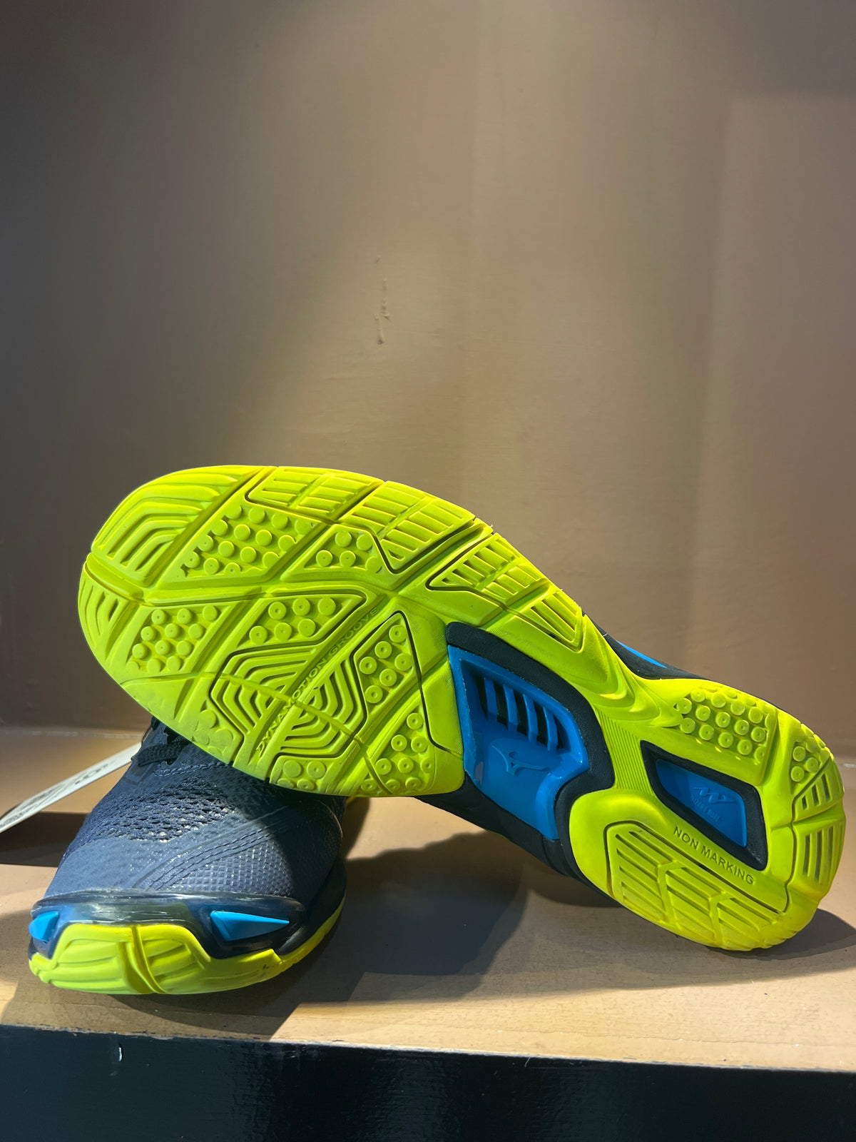 Mizuno Wave Stealth V indoor court shoes