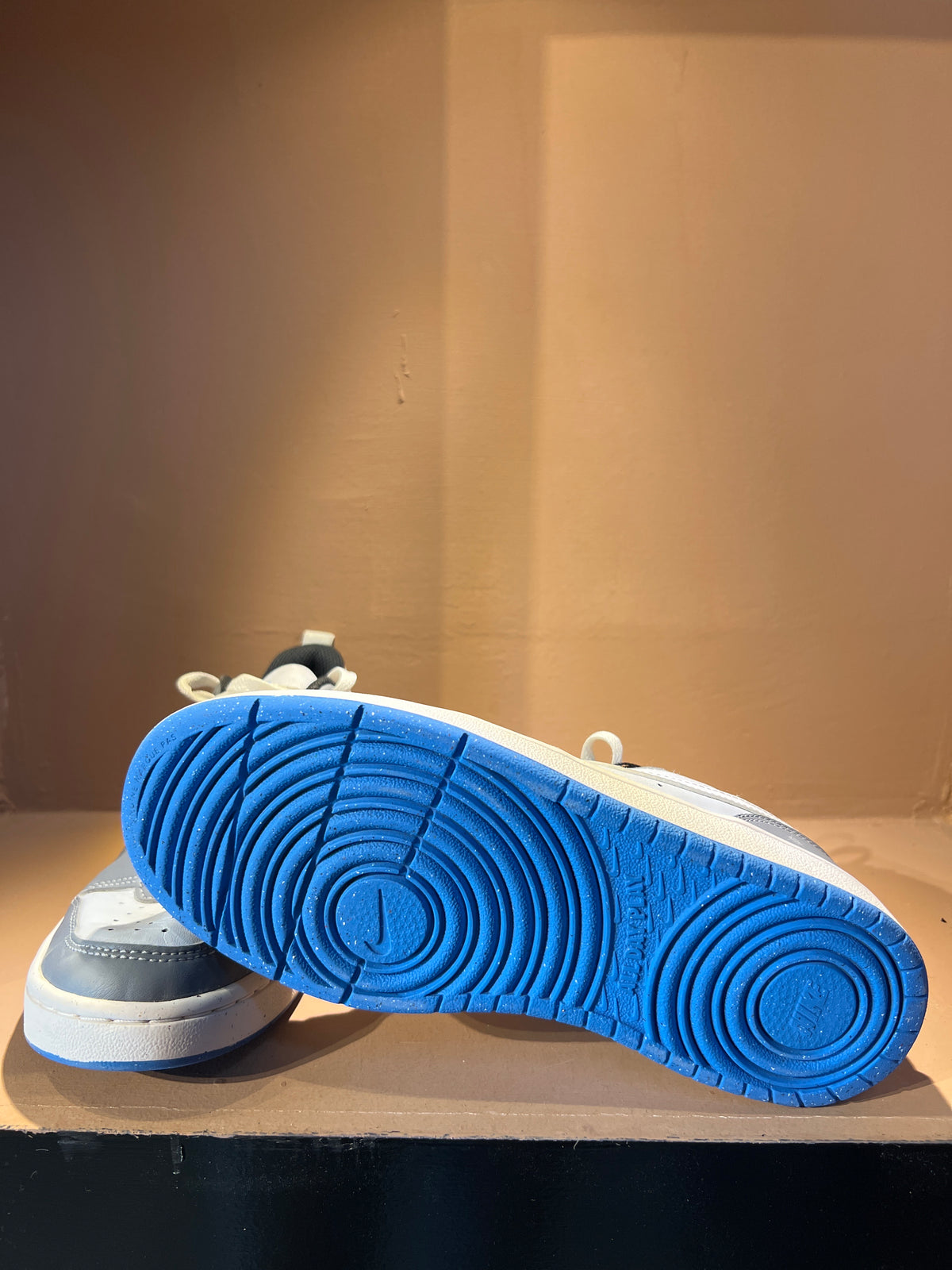 Nike Court Borough Low 2