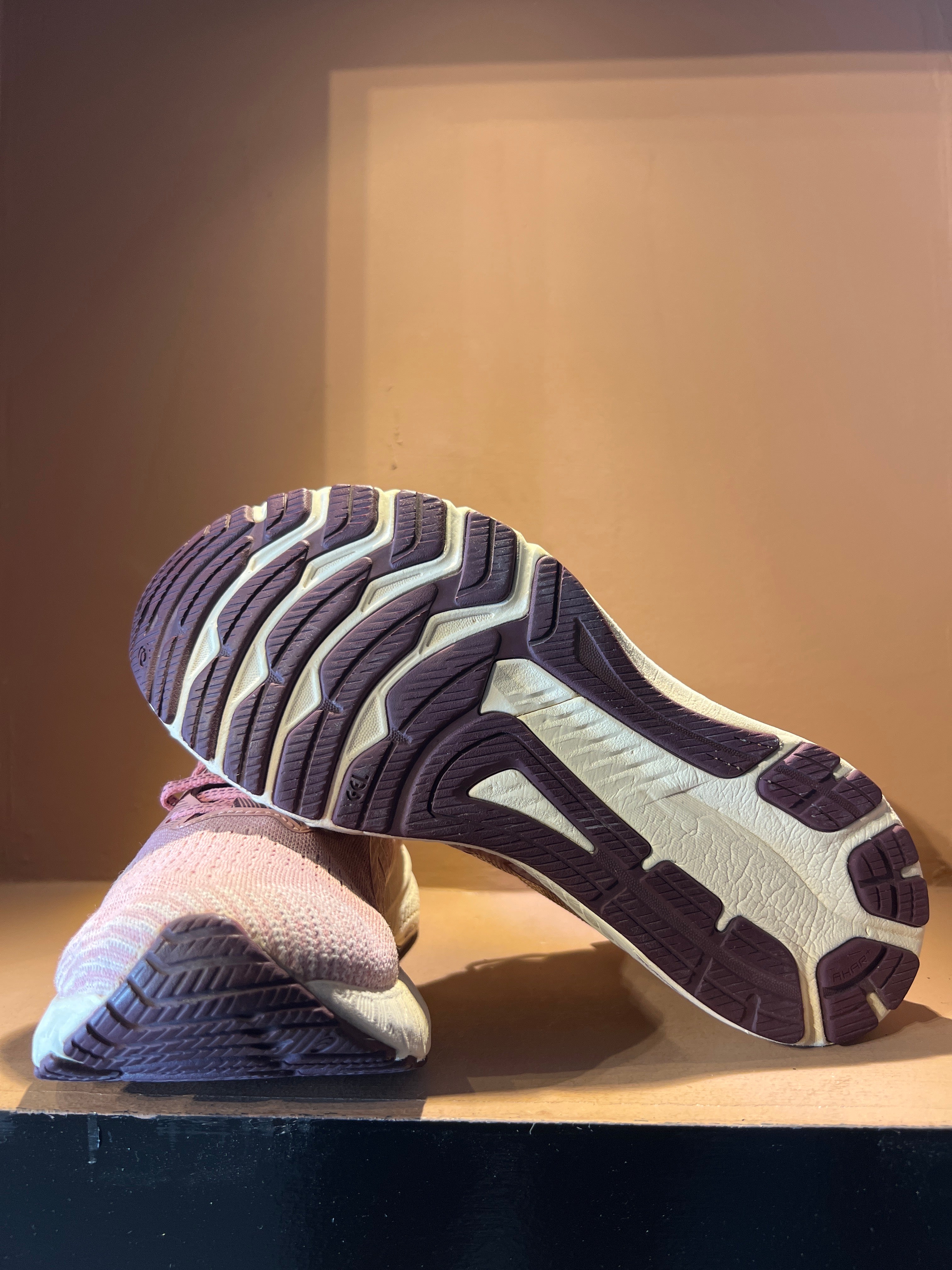 Asics Women's GT-2000 10