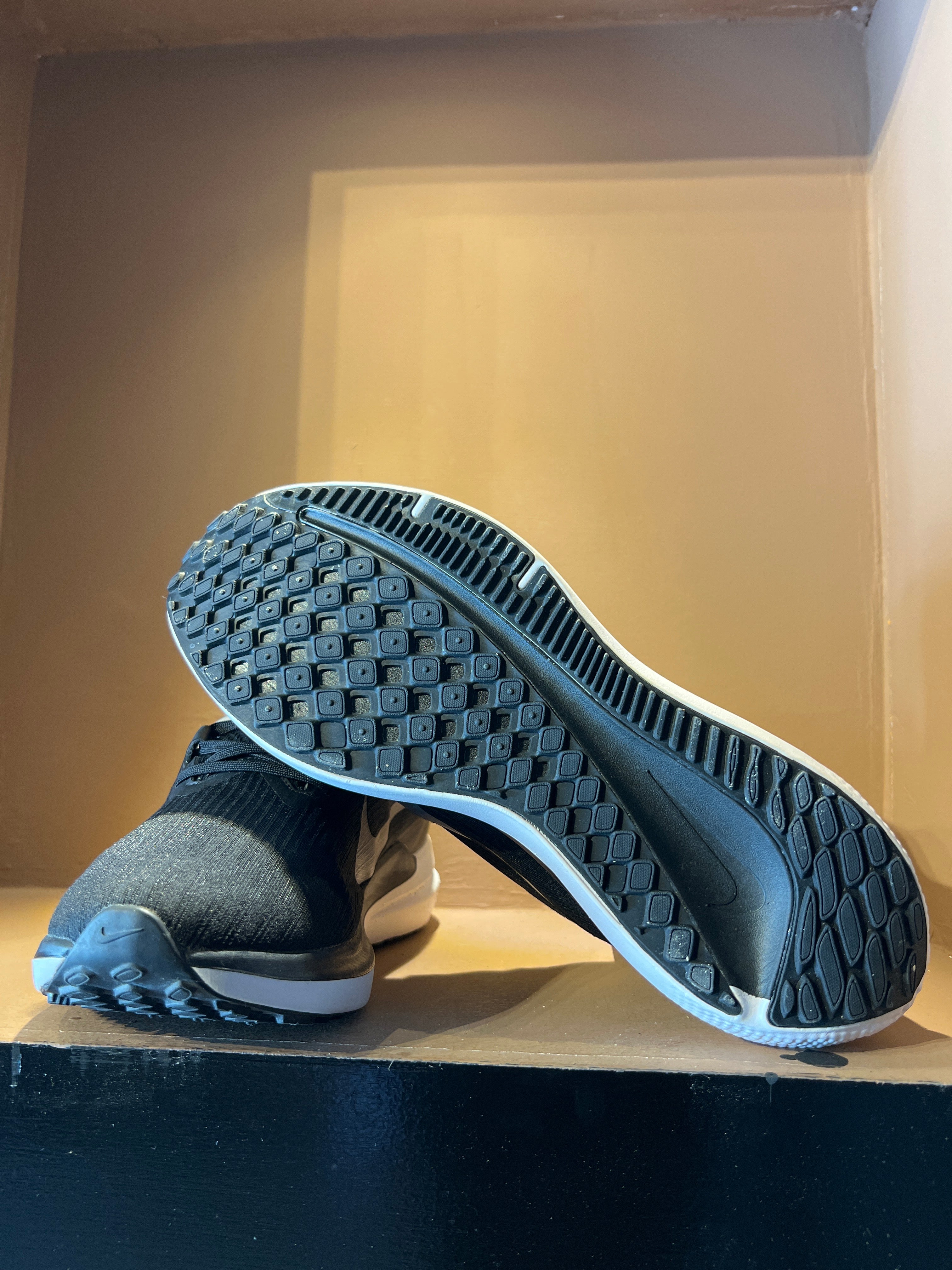 Nike Air Winflo 9