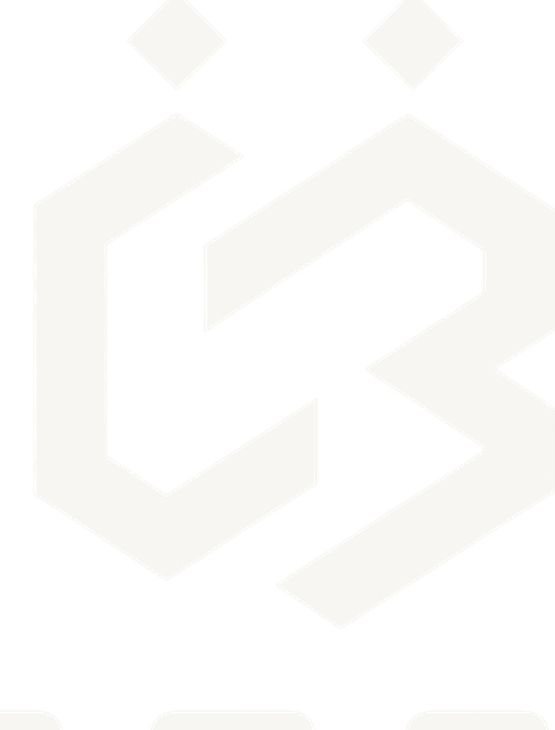 Broski logo